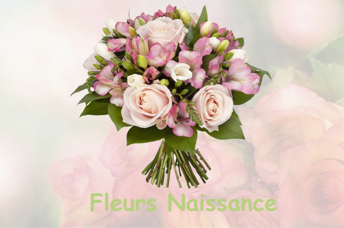 fleurs naissance CLAIRY-SAULCHOIX